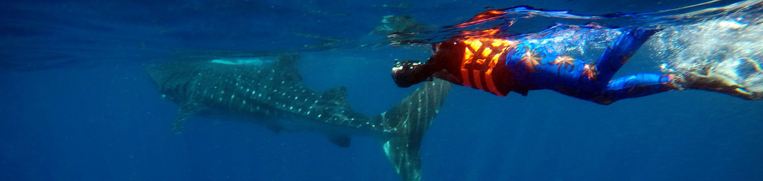 Margo wearing Octopus Leggings - swimming with Whale Shark