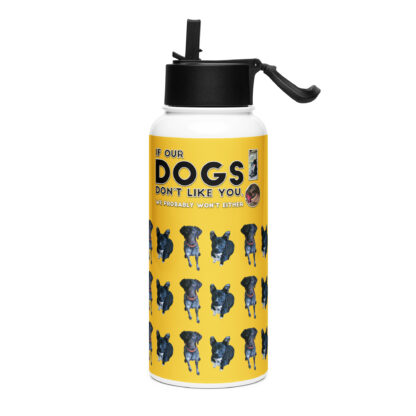 Dogs Don't Like You Stainless steel water bottle with a straw lid