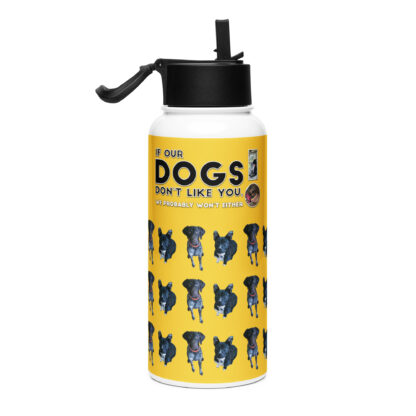 Dogs Don't Like You Stainless steel water bottle with a straw lid - Image 4